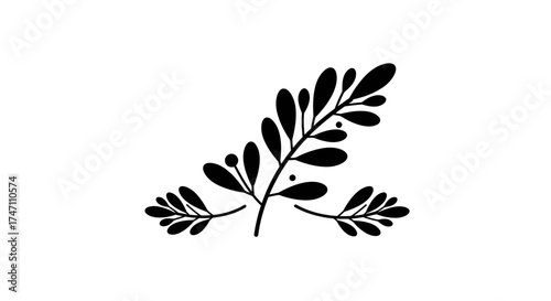 Elegant dark silhouette of delicate botanical branch with tiny buds and leaves adorning the corner of a design space vector