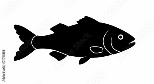 Silhouette of a healthy carp fish with detailed scales and fins swimming gracefully representing aquatic life and nature vector