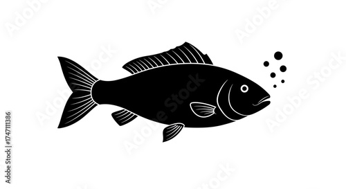 Stylized silhouette of a koi fish swimming upwards with bubbles indicating movement and life underwater aquatic creature vector