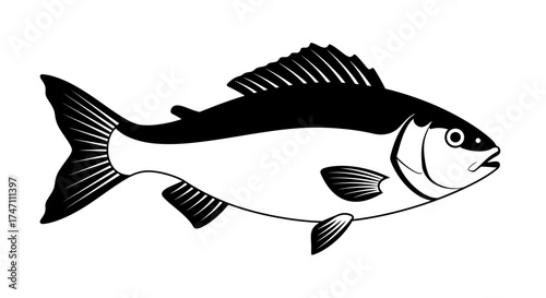 Black and white artistic rendering of a single fish with detailed fins and scales representing aquatic life vector