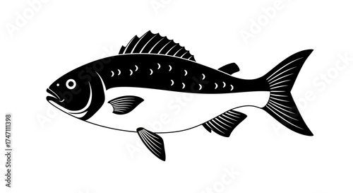 Hand drawn stylized fish silhouette in black and white for natural aquatic themes vector
