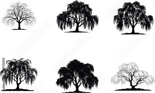 Willow tree silhouette set with drooping branches and elongated leaves for nature design, landscaping art, and botanical illustration use