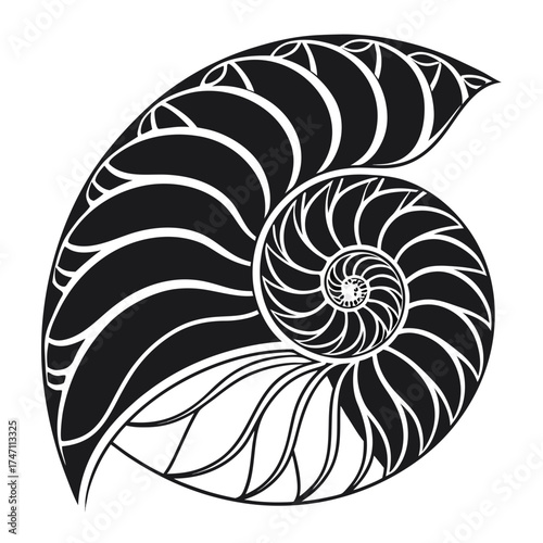 Black abstract nautilus shell spiral graphic black and white 1