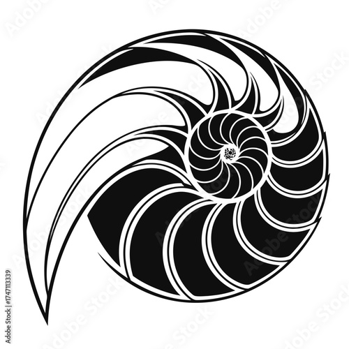 Black abstract nautilus shell spiral graphic black and white 2