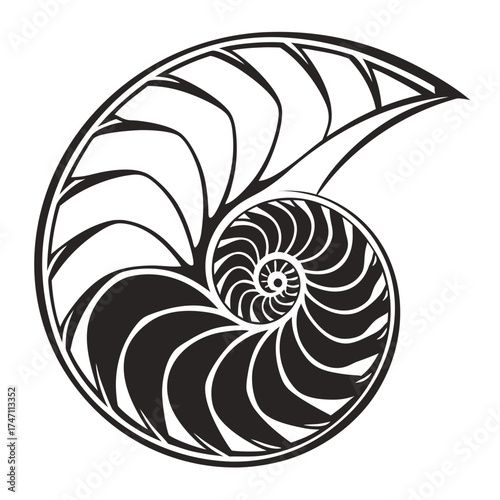 Black abstract nautilus shell spiral graphic vector