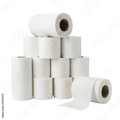 Essential White Toilet Paper Rolls for Hygiene & Home