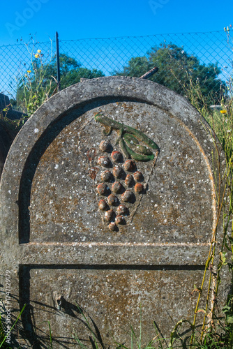 Primo piano del  simbolo del grappolo d'uva scolpito in una vecchia cisterna di cemento per la fermentazione del vino