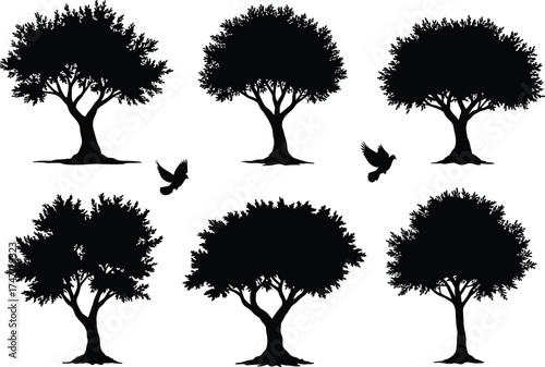 Tree silhouettes set, black isolated trees, flying birds design, nature forest illustration, eco environment art, woodland background, natural shadow shape collection