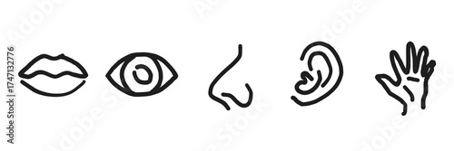transparent Five human senses editable stroke outline icons set isolated on white background flat vector illustration. 