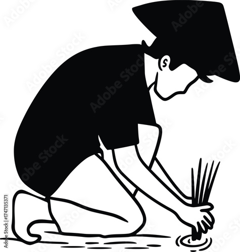 Asian farmer planting rice in a field vector