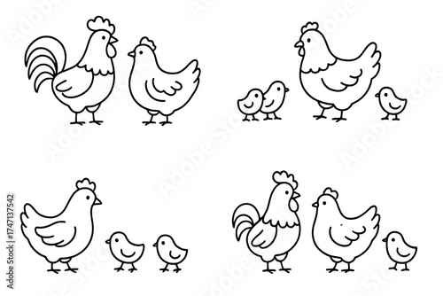 Chicken family line art set. Rooster, hen, and cute chick icons. Farm poultry bird collection. Simple outline vector illustration for logo, easter, or kids coloring book.