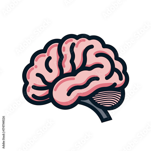 Isolated brain illustration showing cerebrum, cerebellum, and brain stem in pink and gray. Depiction of isolated brain anatomy including cerebral cortex, sulci, and gyri in simplified cartoon style.