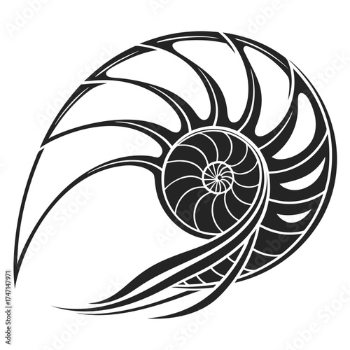 Black abstract nautilus shell graphic design spiral