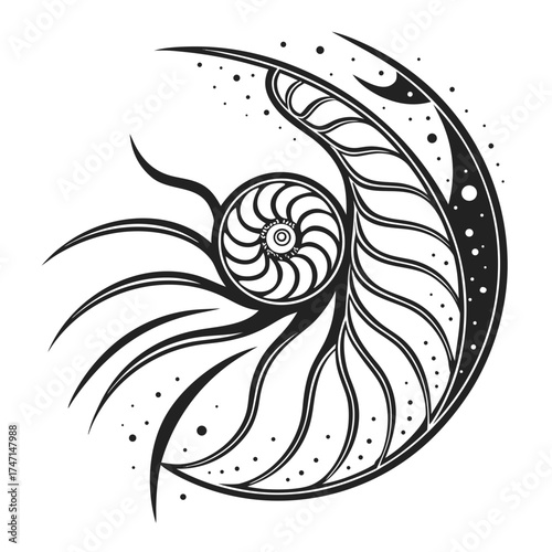 Black abstract nautilus shell spiral on white background