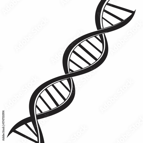 Black D N A double helix graphic on white background