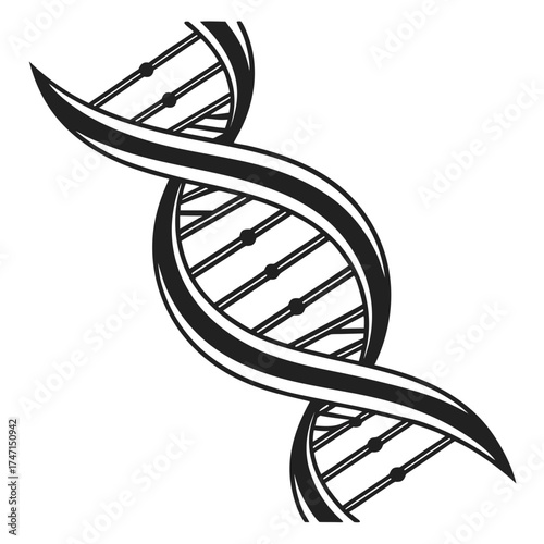 Black D N A helix graphic on white background double helix 2