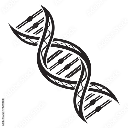 Black D N A helix graphic on white background double helix