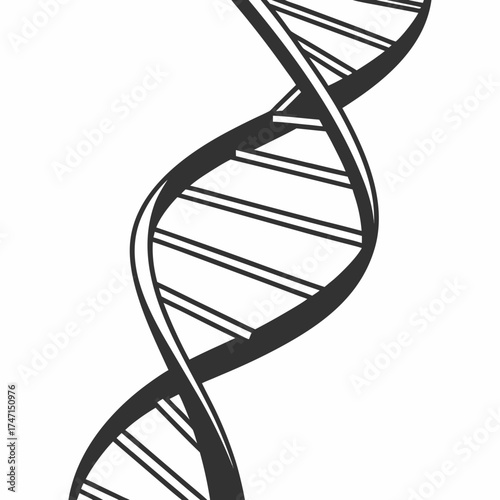 Black D N A helix graphic on white background double helix 1