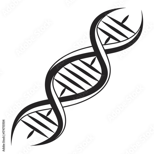 Black D N A helix symbol on white background double helix 2
