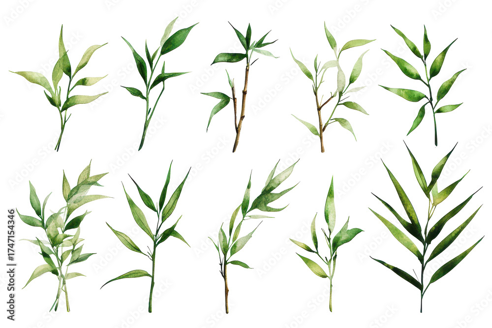 Fototapeta premium Soft watercolor bamboo collection featuring a variety of green hues and delicate shapes perfect for nature-themed art and decor