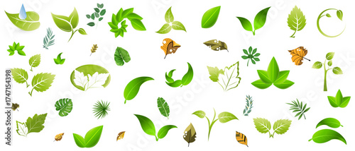 Green grass and floral nature elements with eco-friendly decorative plant icons