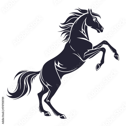 Dark blue horse rearing up on hind legs white background