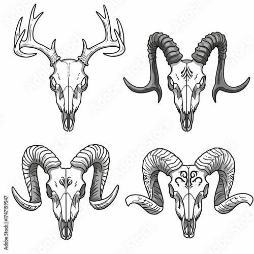 Intricate animal skull collection with deer and ram, perfect for vintage designs, gothic themes, or Halloween projects, originally scalable vector graphic