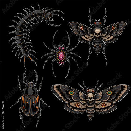 Detailed entomology illustration featuring a spider, beetle, centipede and two moths, spooky Halloween aesthetic, dark fantasy art, gothic insect collection