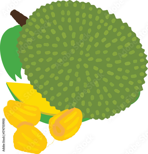 jackfruit isolated flat vector illustration