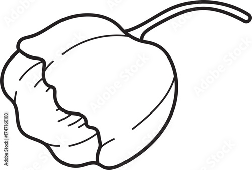 Unopened Tulip Bud Outline Vector. Simple Black and White Line Art Flower Illustration for Coloring Page or Design Element.