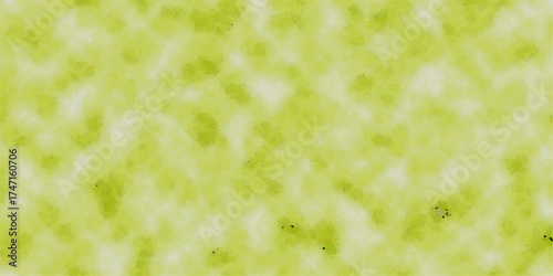 green grass background