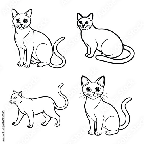 Collection of stylized line art drawings of domestic cats in various poses. Illustrations of Cats in Different Poses Set