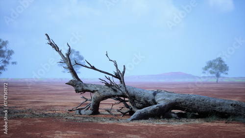 Tableau sur toile A dead tree in the middle of a desert