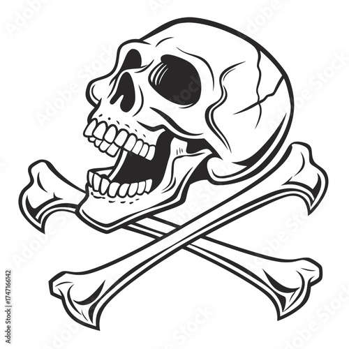Black and white skull and crossbones graphic pirate