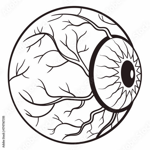 Black outline eyeball with vein pattern organ vision