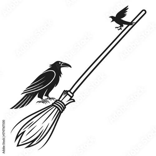 Black raven and bird on a broomstick witch broom crow