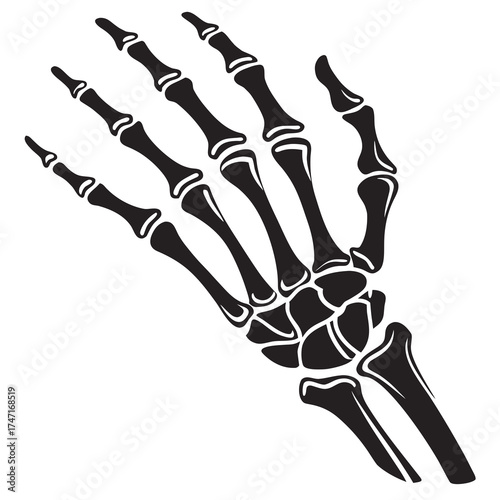 Black skeleton hand on white background bones bone