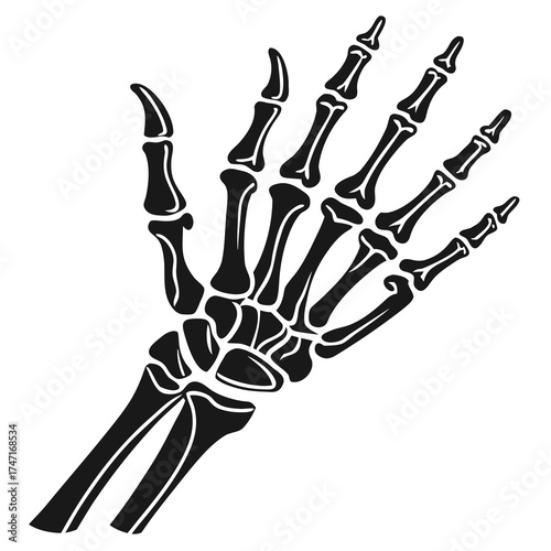 Black skeleton hand on white background hand bones