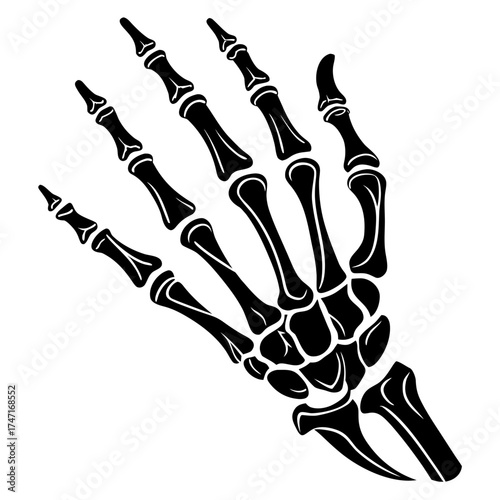 Black skeleton hand white background bones