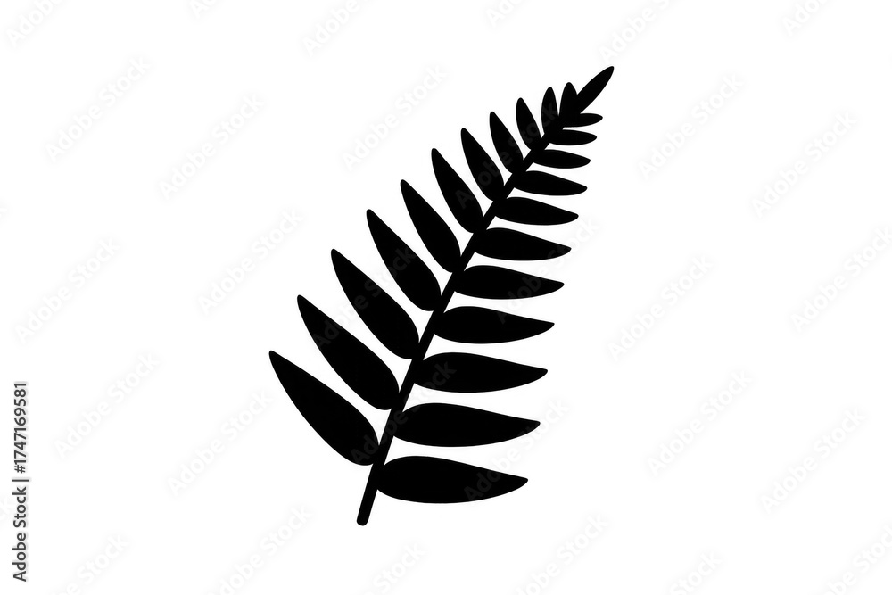 Fototapeta premium Silver fern leaf silhouette on transparent background