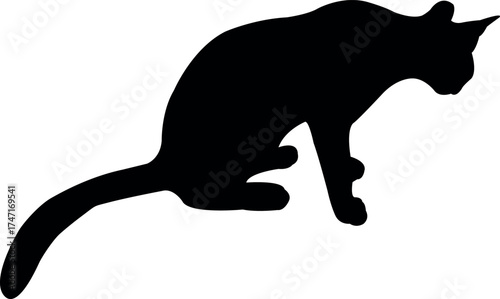 a cat body black color silhouette vector