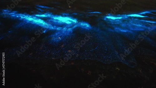Bioluminescence (Noctiluca scintillans) in the waves