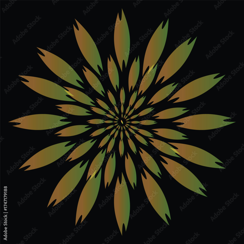 Fotografie black and white abstract flower