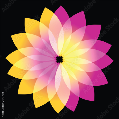 yellow flower on black background