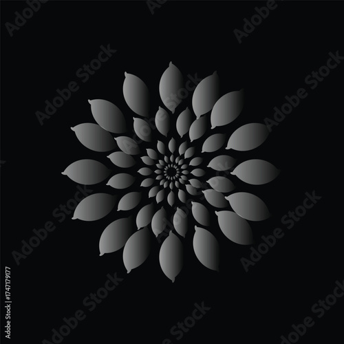 white flower on black background