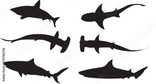 shark silhouette isolated set