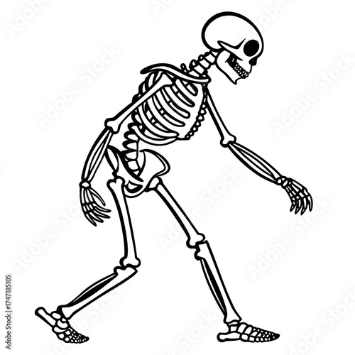 Black line art walking skeleton human skeleton black and white 1