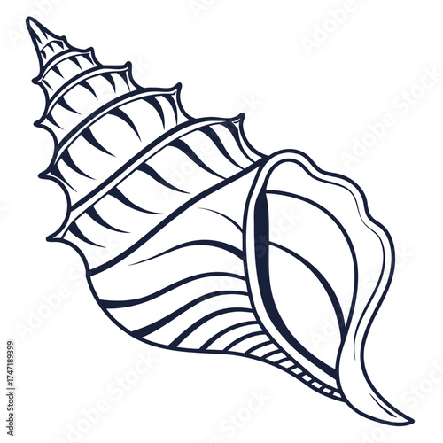 Dark blue line art seashell on white background conch 1