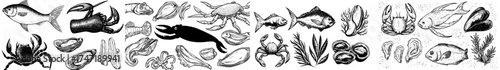 A modern set of cartoon seafood including shrimp, mussels, scallops, oysters, caviar, and shellfish, along with fresh raw ocean and sea fish like tuna, salmon, and herring