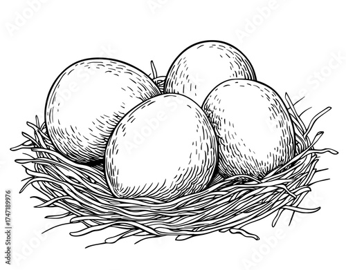 The illustration features a domesticated farm chicken family, comprising a rooster, a hen, and their chicks, participating in everyday activities like consuming food, running around, and incubating